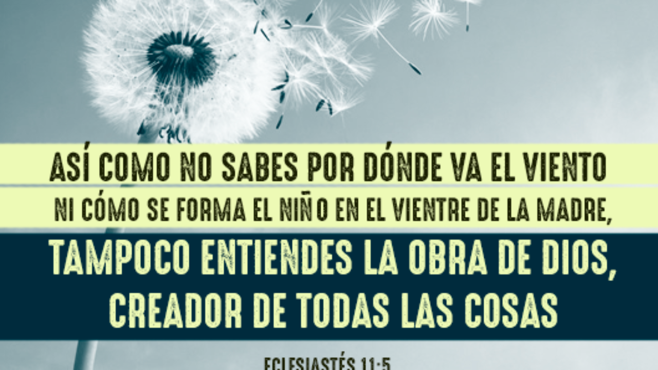 Imagenes con Frases Cristianas y Versiculos de La Biblia – Avanza Por Más