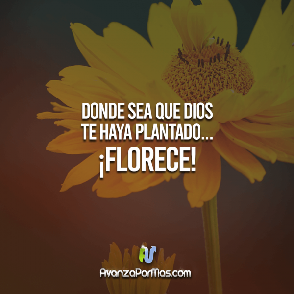 imágenes cristianas de fe